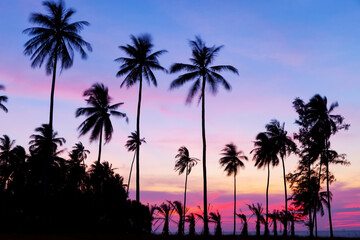 Fototapeta na wymiar Beautiful sunset or sunrise with silhouette palm trees on tropical island Beautiful light of nature scenery background.