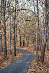Idyllic autumn landscape of a wooded forest area with bare trees and leaf covered ground, with a winding paved walking trail
