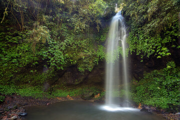Obraz premium Beautiful waterfall in rural area at bali island, indonesia