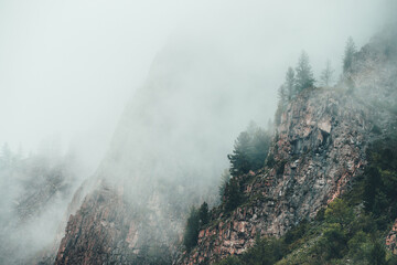 Beautiful dramatic view to rocky mountain with coniferous trees in dense fog. Ghostly foggy...