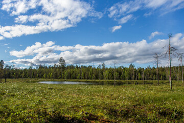 Fototapeta na wymiar Landschaft in Finnland, Kajaani, Karelien