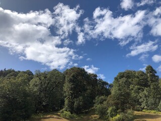 trees and sky scenic view on top of the mountains Uttarakhand 