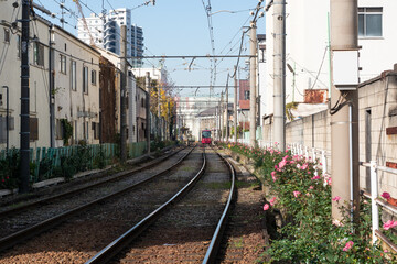 路面電車沿いの風景3