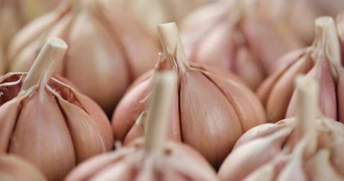 fresh garlic closeup rotate. Eco friendly food concept