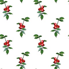 Vector seamless pattern of a branch of wild rose. Botanical sketch of red rose hips and green leaves. Bright berries are hand-drawn