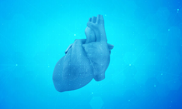 3D Human heart on science style background.