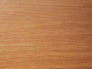 Obraz na płótnie Canvas Closeup on sample of wooden floor