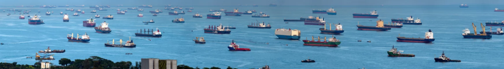 Foto op Plexiglas Wide panorama image of Container Ships anchored at the Singapore strait. © hit1912
