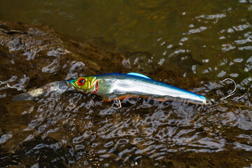 a silvery blue wobbler caught on a snag in the water