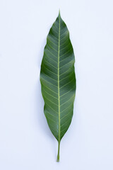 Obraz premium Top view of mango leaf on white background.