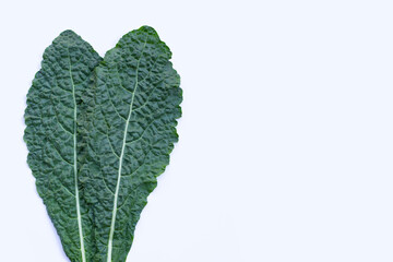 Fresh organic green kale leaves on white background.