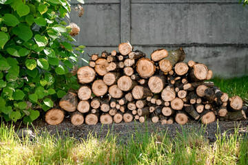 Stack of fire wood prepared for winter outdoors
