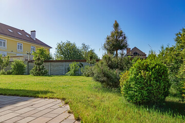 Beautiful green plants near house outdoors