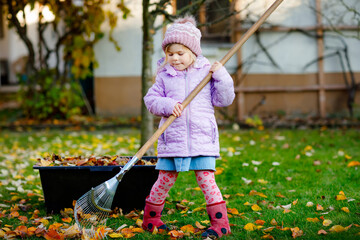 Little toddler girl working with rake in autumn garden or park. Adorable happy healthy child having...