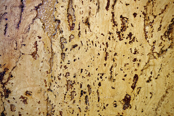 The texture of a cork tree. Empty yellow surface with cracks. Abstract background close-up.