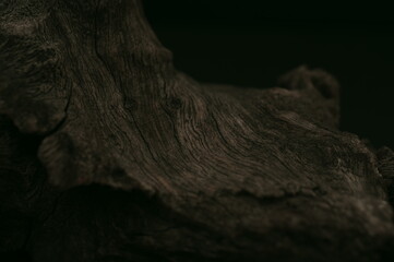 流木のグラフィック素材