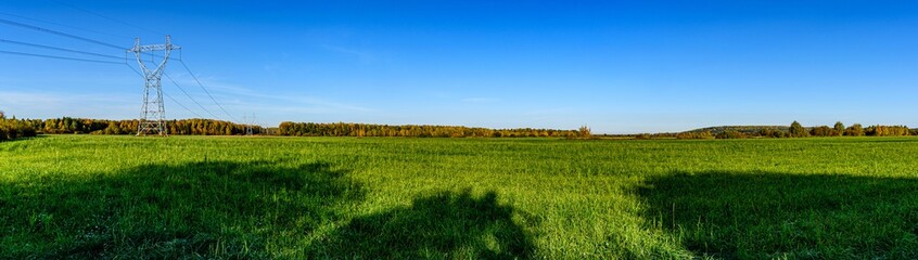 Fototapeta premium Panorama of high-voltage lines on a green agricultural landscape on a Sunny day with a blue sky.