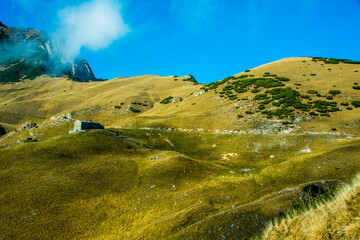 hut among the yellow autumn fields on the alps one