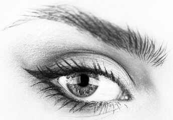 Woman with soft smooth healthy skin and glamorous professional facial makeup. Beauty cosmetics. Macro of human eye. Black and white