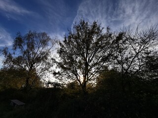 Obraz na płótnie Canvas Bäume und Sträucher im Herbst mit Wolkenbild