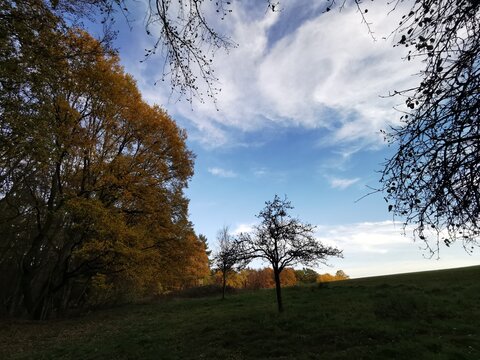 Lichtung im Wald im Herbst mit quirligen Wolken am Himmel