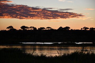 Fototapeta na wymiar Sunrise on the Ugandan River NILE