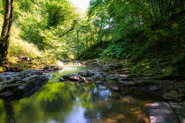Obraz premium Small river or stream in deep forest