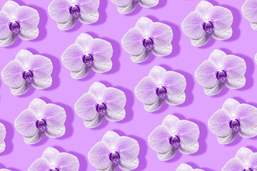 purple orchid flower pattern toned on pink background