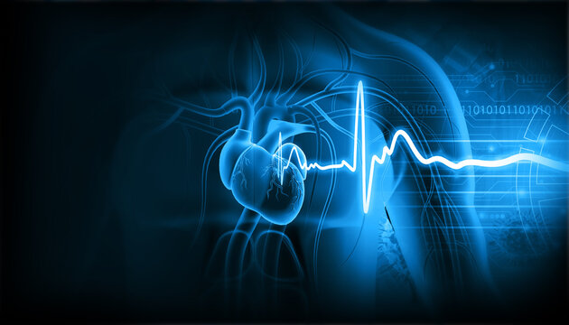 Human heart with ecg graph. 3d illustration..
