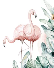  Hand drawn watercolor tropical flamingo birds. set of African flamingos. Exotic rose bird illustrations, jungle tree, brazil trendy art. Perfect for fabric design. © kris_art