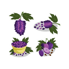 Grape bunches Fruit and leaves illustration Set