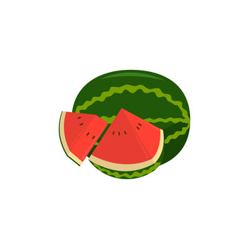 Watermelon Fruit Part and pieces Illustration
