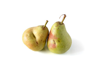 Two pears. Really organic pear. Two fresh ripe juicy not perfect pears. Pear isolated on white with clipping path. Copy space for text. Two whole pears in natural daylight