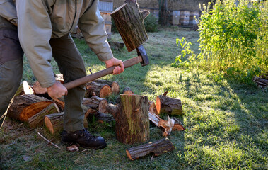 camping skills father with son. chopping wood log from willow in autumn. the father shows with an ax what can happen like cutting off an arm, fingers, foot. in the background wooden beehives with bee