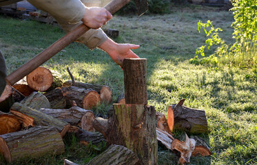 camping skills father with son. chopping wood log from willow in autumn. the father shows with an ax what can happen like cutting off an arm, fingers, foot. in the background wooden beehives with bee