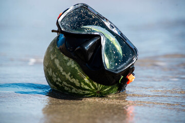 diving equipment, watermelon
