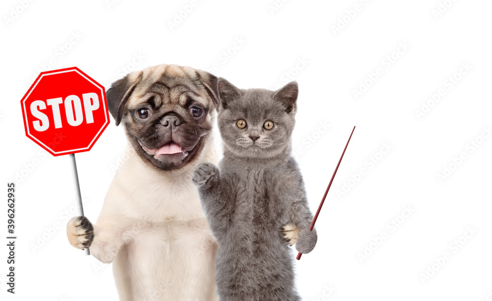 Aufkleber cat and dog hold 