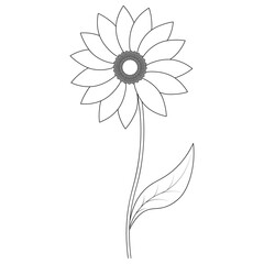 Sunflower. Sunny flower. Sketch. Vector illustration. Outline on an isolated white background. Doodle style. Coloring book. Harvest seeds for processing into oil. Plant of the aster family. 