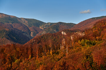 Colorful forests on the mountains