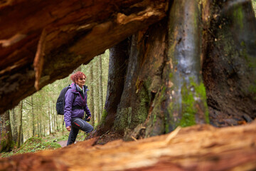 Fototapeta na wymiar Woman hiking into the forest