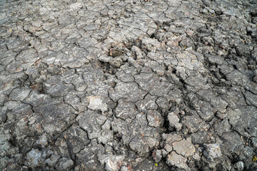 Cracked ground, cracked soil. texture of grungy dry cracking parched earth. Global worming effect.
