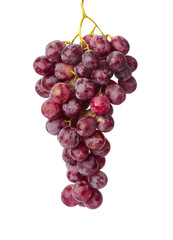 Ripe grapes