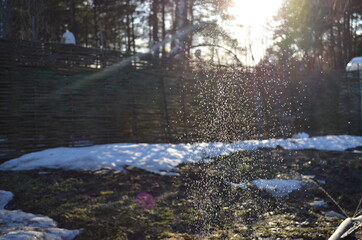 portraits and landscapes