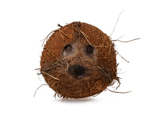 Front detailed view of whole coconut, showing face like marks. Isolated on white background.