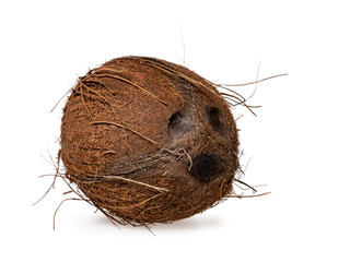 Side detailed view of whole coconut, showing face like marks. Isolated on white background.