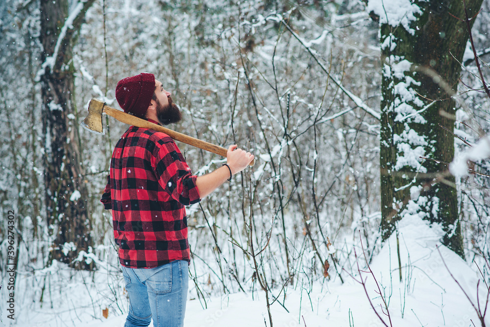 Wall mural Lumberjack lifestyle. Handsome man working in forest.