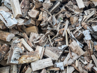 Holzscheite von Birke und Buche