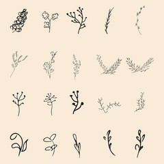 Obraz premium Doodle simple vector collection of 20 hand-drawn floral elements. Big collection of 20 hand-drawn branches. Big floral botanical set. Isolated