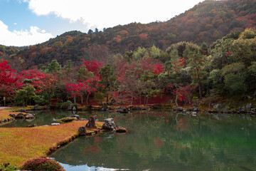 美しい京都の紅葉風景