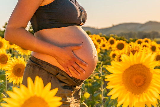 Pancia di donna incinta in campo di girasoli al tramonto